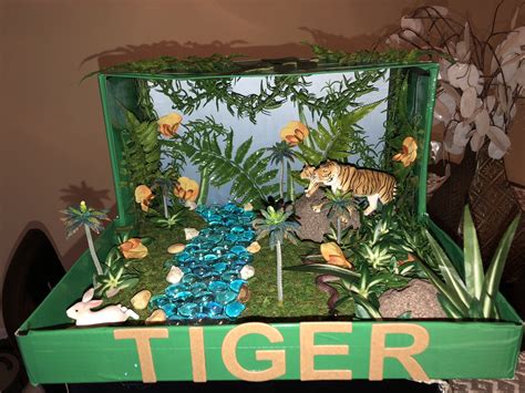 Siberian Tiger Habitat Biome