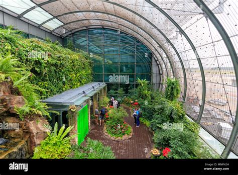 Singapore - August 13, 2017: The Butterfly Garden at Singapore Changi ...