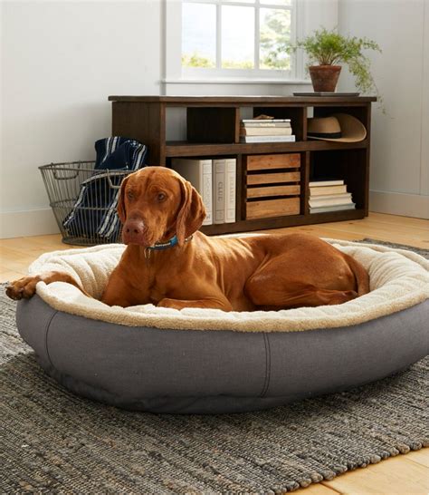 Premium Oval Bolster Dog Bed | Beds & Blankets at L.L.Bean