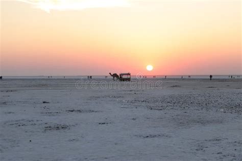 Sunrise at Rann of Kutch Festival - Rann Utsav - White Desert - Shades ...