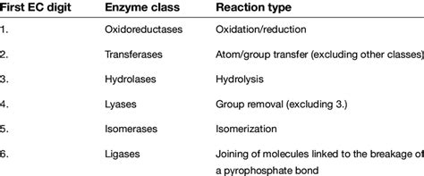 Enzymes Functions | Definition | Classification