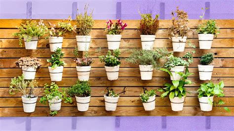 The Best Patio Ideas for Turning Your Outdoor Space Into a Plant Parent ...