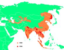 Siberian tiger - Wikipedia