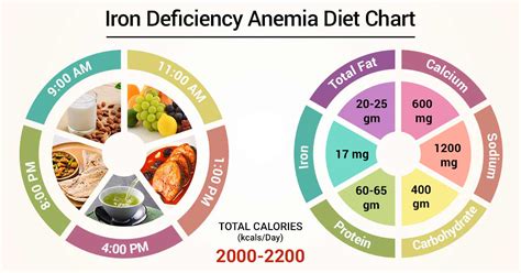 Diet for anemia - Dr.Salunkhe