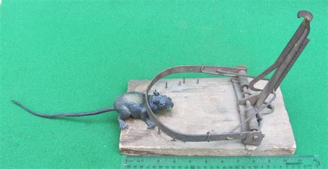 www.AntiqBuyer.com Mouse Rat & Small Animal Trap past sales