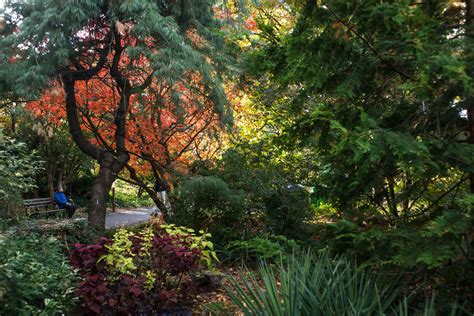 Queens Botanical Garden | Queens, NY 11355 | New York Path Through History