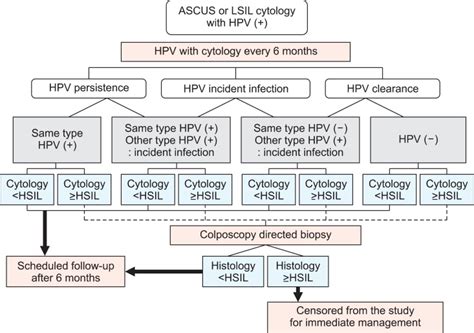 Pap Smear Flow Chart - Flowchart Examples