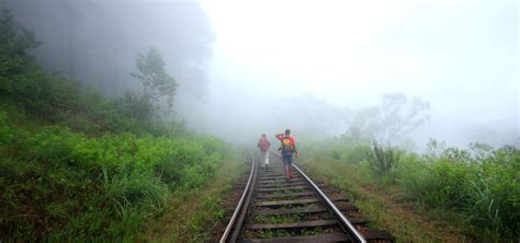 Best things to do in Ohiya | Attractions in Ohiya | Places to Visit in ...