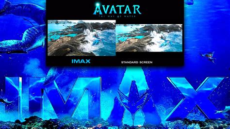 IMAX vs. Standard Screening: A Must-Watch Comparison - Y.M.Cinema Magazine