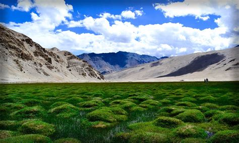 Puga Valley - An unmissable experience in Ladakh