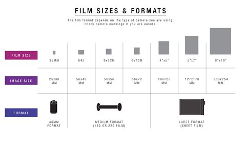 Film Resolution & Grain