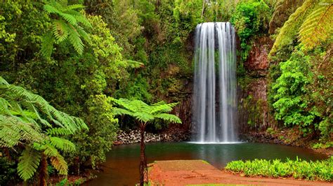 Tropical Waterfall Serenity - 4K Ultra HD Wallpaper