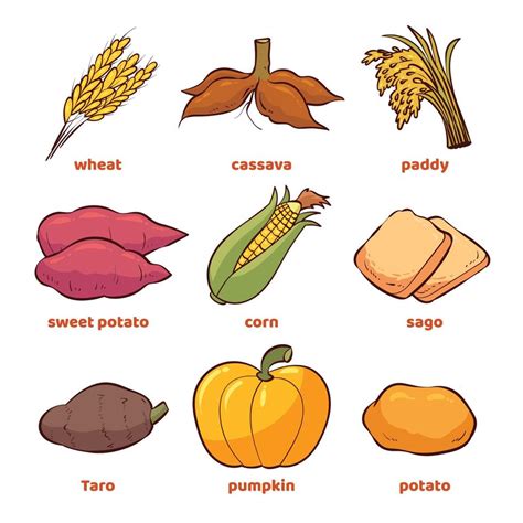 vector illustration of various staple foods 14440844 Vector Art at Vecteezy