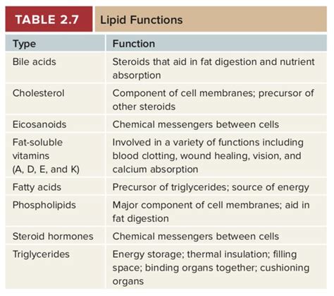 Describe the Use of Lipids in Humans.