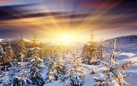 Winter Sunrise Wallpaper