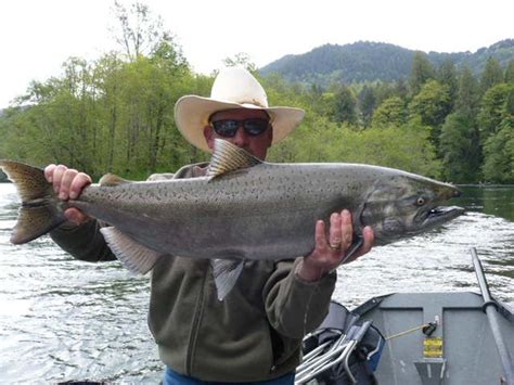 Salmon and Steelhead Image Gallery | A Helfrich Outfitter