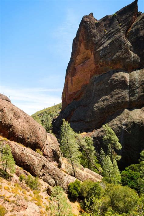 Wildlife In Pinnacles National Park