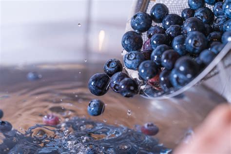 Picking Blueberries: When and How To Harvest Your Fruit