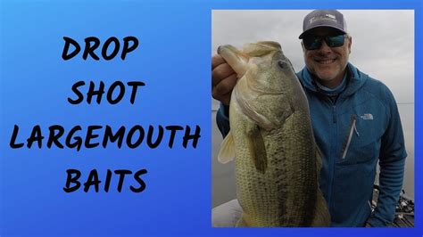 My Favorite Drop Shot Baits for Largemouth Bass - Soft Plastic Drop ...