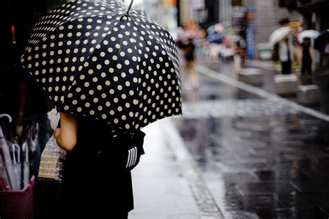 Polka dot Umbrella | Polka dots, Polka dot umbrella, Style