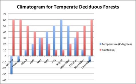 Temperate Deciduous Forest Climate