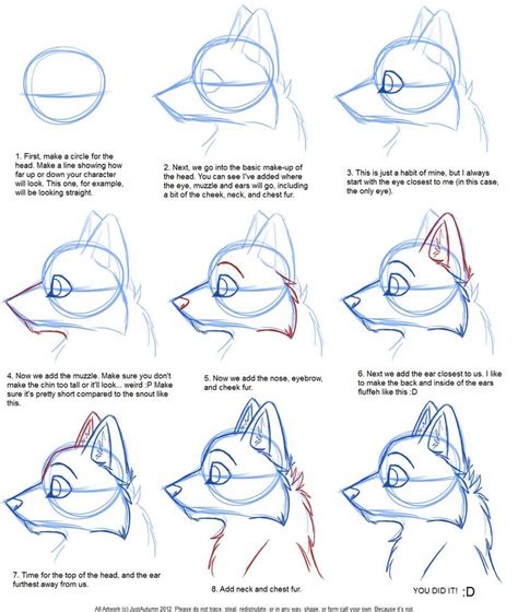 How to Draw: Canine Profile Tutorial by JustAutumn on deviantART ...