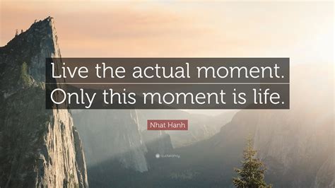 Nhat Hanh Quote: “Live the actual moment. Only this moment is life.”