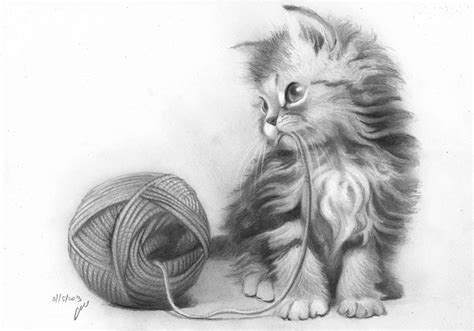 how to draw realistic baby animals - Google Search Cool Pencil Drawings ...