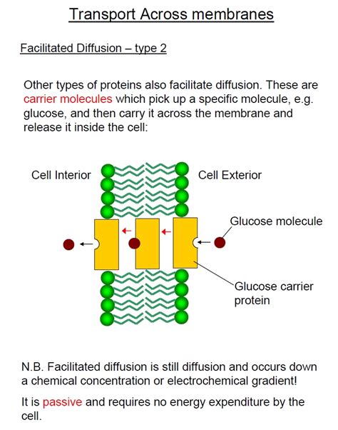 Membranes