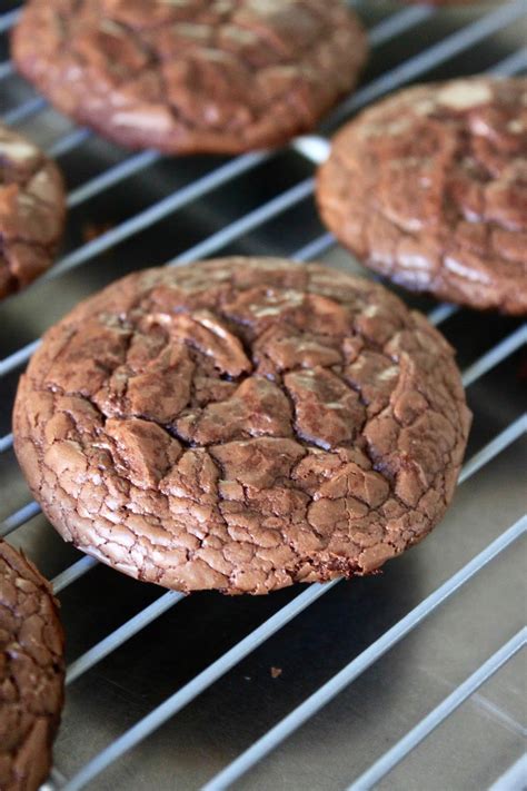 Baked Perfection: Double Chocolate Brownie Cookies