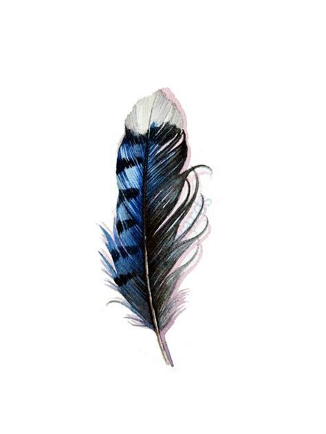 Blue jay feather | Feather tattoos, Blue jay feather, Jay feather