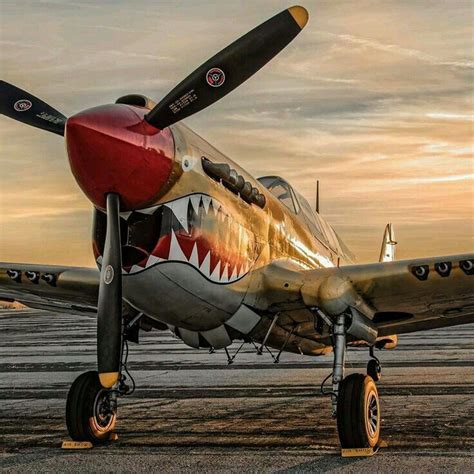 P58 Mustang | Aircraft, Fighter planes, Vintage aircraft