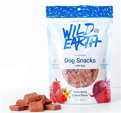 Buy Wild Earth Superfood Dog Treats - 5oz Bag... Online | Mercato