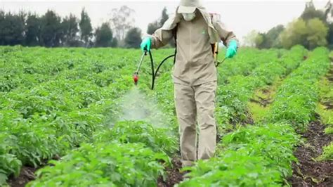 Pesticidewise: spraying pesticides downwards using a knapsack sprayer ...