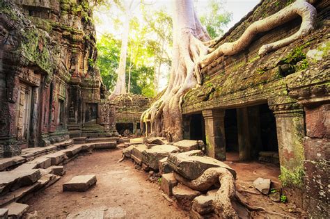 Angkor Wat Cambodia. Ta Prohm Khmer temple - EXO Travel Blog