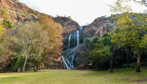 Walter Sisulu Botanical Gardens Johannesburg Entrance Fee - Garden ...