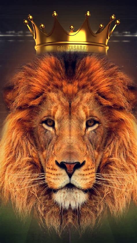 Lion With Crown Wallpaper