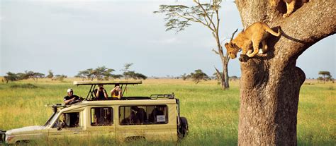 Best Tanzania Safari Tour & Serengeti Safari | National Geographic ...