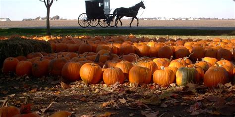 The Ultimate Guide to Northern Indiana Amish Country