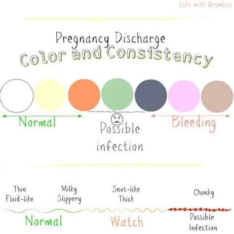 Discharge During Pregnancy: Color and Consistency Causes