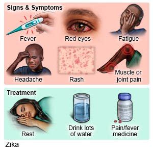 Zika Virus - What You Need to Know