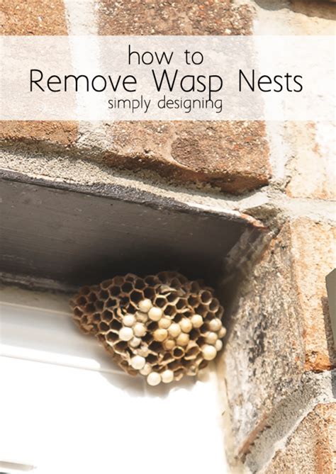 How to Remove Wasp Nests | Wasp nest, Get rid of wasps, Wasp nest removal