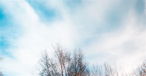 Free stock photo of cloudy sky, trees