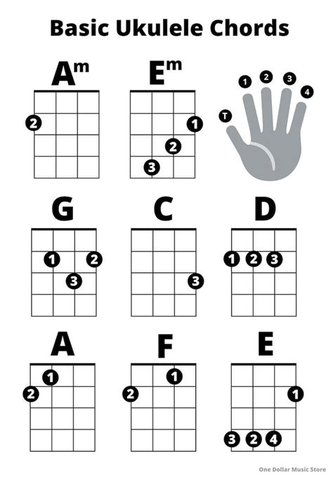 Beginner Ukulele Basic Chords Sheet Great for Beginners - Etsy ...