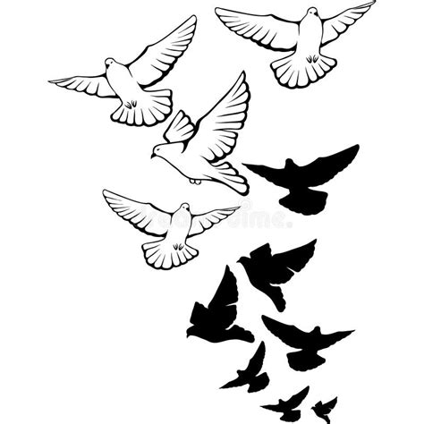 Flying Pigeons Background. Hand Drawn Vector Stock Vector ...