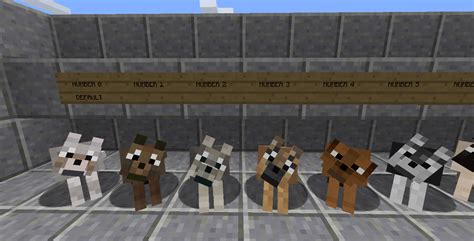 Doggy Talent - Dog TP (Discontinued for now) - Minecraft Resource Packs ...