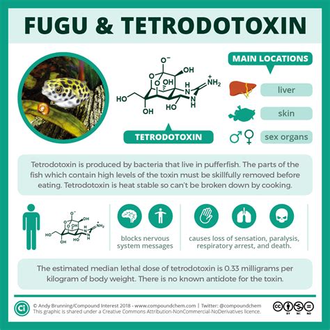 Fugu and tetrodotoxin: how the pufferfish can kill | Compound Interest