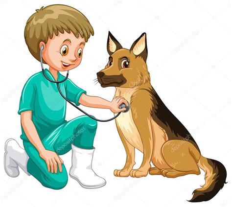 Vet examining dog with stethoscope — Stock Vector © interactimages ...