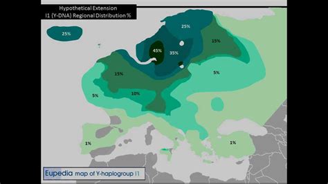 I1 (Y-DNA) Haplogroup at the End of the Ice Age - YouTube