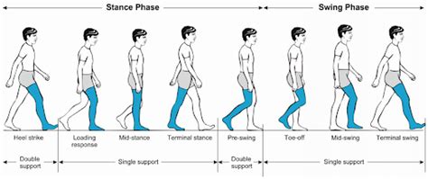 Gait Analysis - Rocky Mountain Brain and Spine Institute